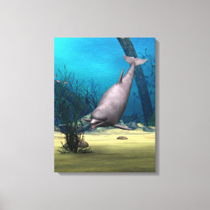 Dolphin Canvas Print