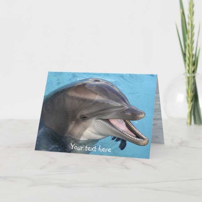 dolphin, card (Front)