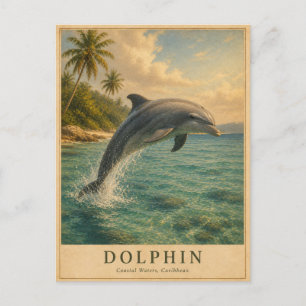 Dolphin Caribbean Waters VINTAGE Postcard