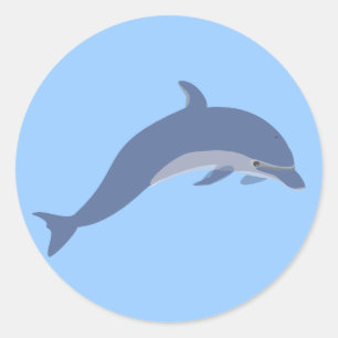 Dolphin Classic Round Sticker