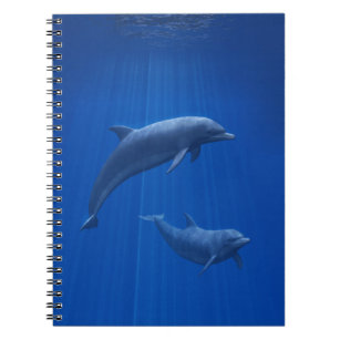Dolphin Couple Notebook