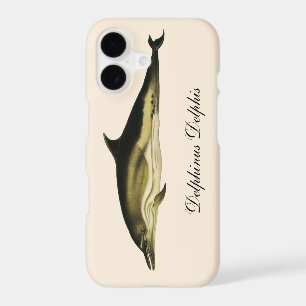 Dolphin Delphinus Delphis, Vintage Marine Animals