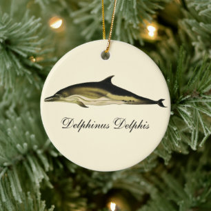 Dolphin Delphinus Delphis, Vintage Marine Animals Ceramic Tree Decoration