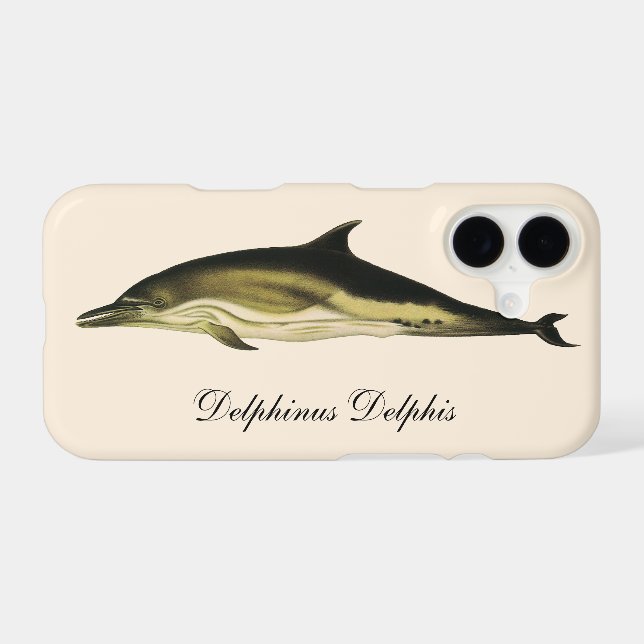 Dolphin Delphinus Delphis, Vintage Marine Mammals  (Back (Horizontal))