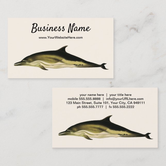 Dolphin Delphinus Delphis, Vintage Marine Mammals  Business Card (Front/Back)