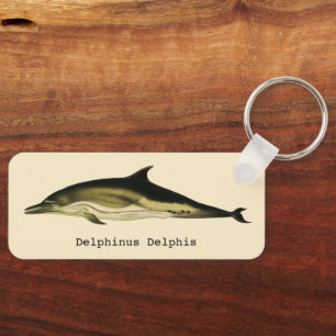 Dolphin Delphinus Delphis, Vintage Marine Mammals Key Ring