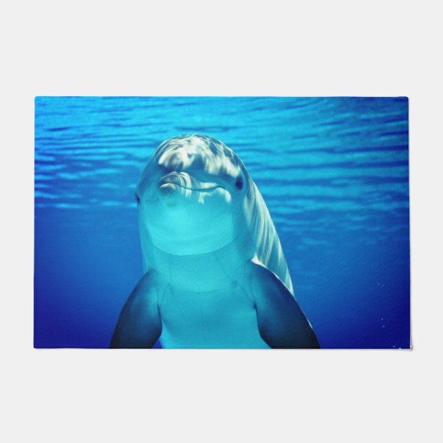 Dolphin Doormat (Front)