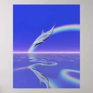 Dolphin Download Poster