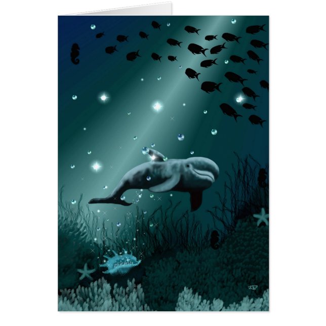 Dolphin Dream (Front)