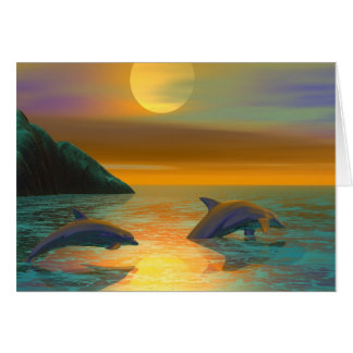 Dolphin Dreams