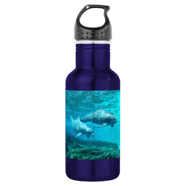 Dolphin Duo 532 Ml Water Bottle (Front)