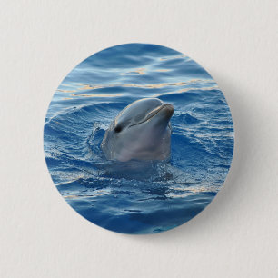 Dolphin Face in Ocean Cute Photo 6 Cm Round Badge