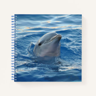 Dolphin Face in Ocean Cute Photo Notebook