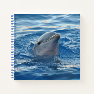 Dolphin Face in Ocean Cute Photo Notebook
