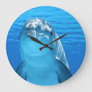 Dolphin face up close large clock