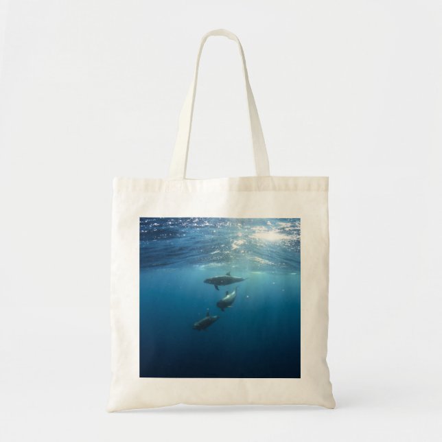 Dolphin Family Tote Bag (Front)