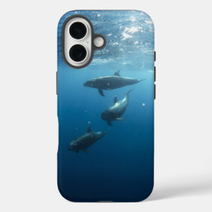 Dolphin Family Underwater iPhone 16 Case