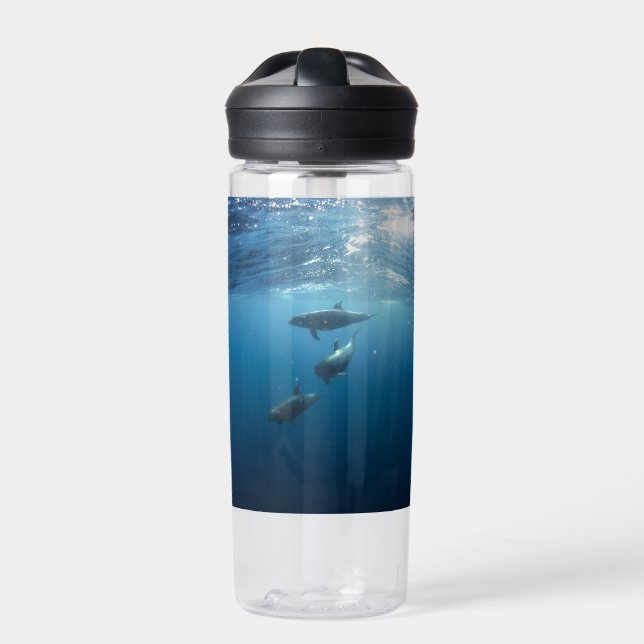 Dolphin Family Underwater Water Bottle (Front)