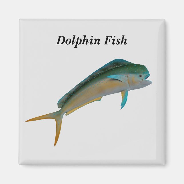 Dolphin fish magnet (Front)