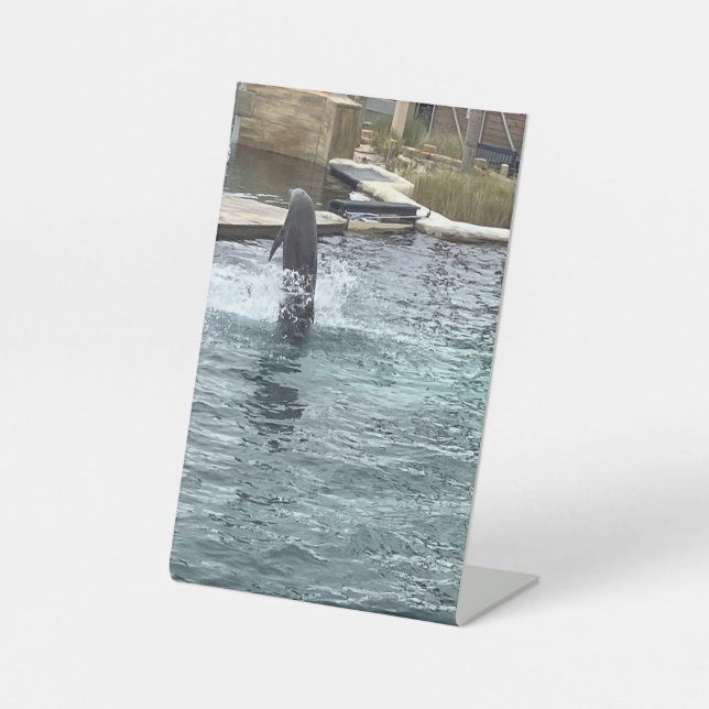 Dolphin flip pedestal sign (Front)