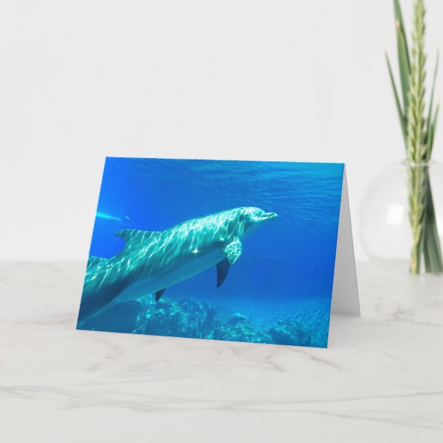 Dolphin greeting card (Front)