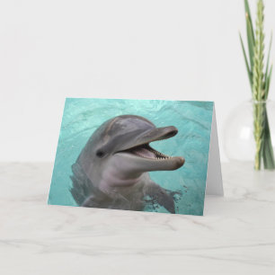 Dolphin Greeting Card