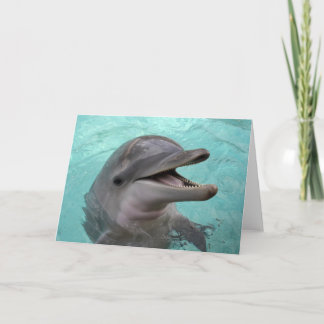 Dolphin Greeting Card
