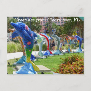 Dolphin greetings from Clearwater Florida postcard