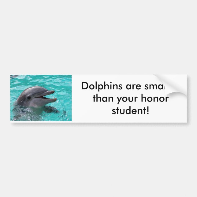 Dolphin head in aquamarine water bumper sticker (Front)