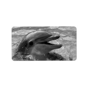 Dolphin head in water mouth open Black and White Label