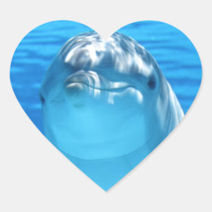 Dolphin Heart Sticker