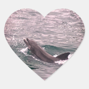 DOLPHIN HEART STICKER