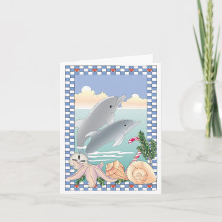 Dolphin Holiday