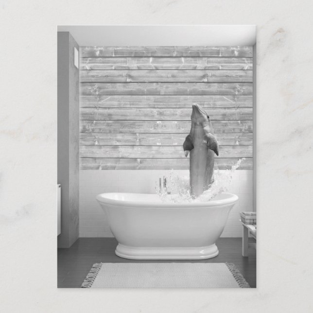 Dolphin in Bathtub Bubble bath Postcard (Front)