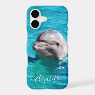 Dolphin in Blue Water Photo