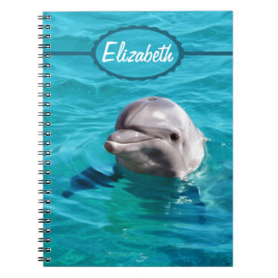 Dolphin in Blue Water Photo Notebook