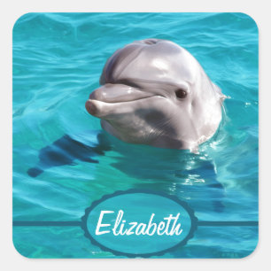 Dolphin in Blue Water Photo Square Sticker