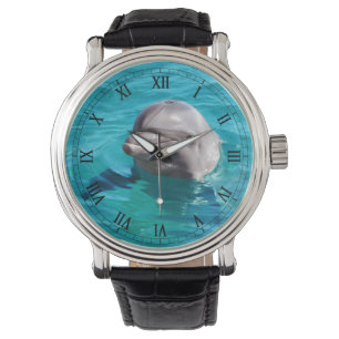 Dolphin in Blue Water Photo Watch