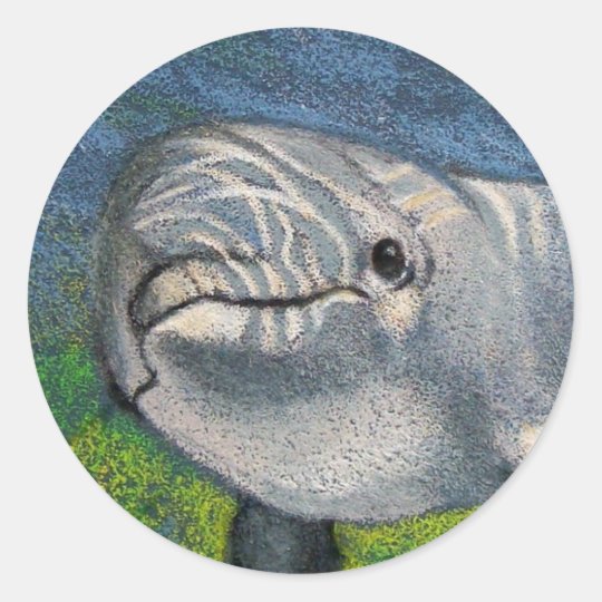 DOLPHIN IN COLOR PENCIL CLASSIC ROUND STICKER