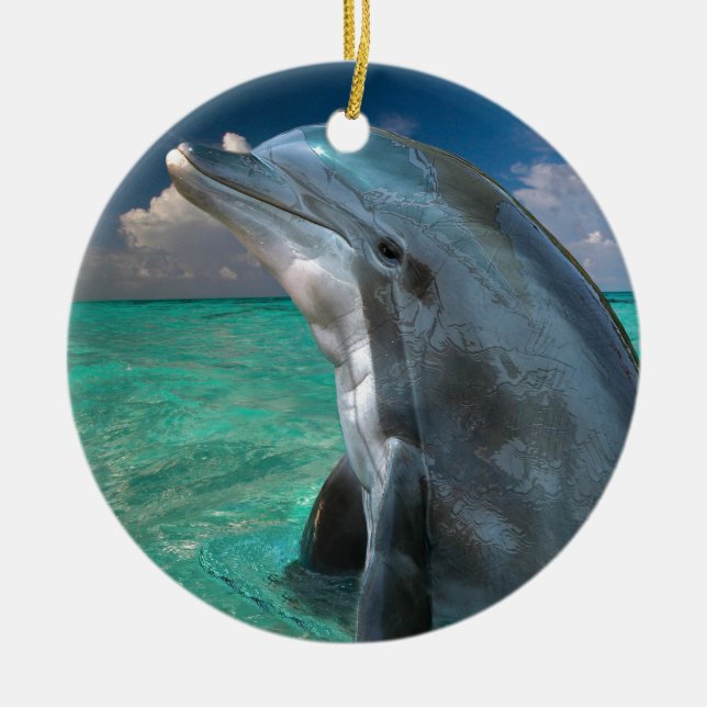 Dolphin in the Bahamas Ceramic Tree Decoration (Front)