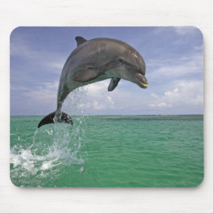 Dolphin in the wild Jumping Mouse Mat