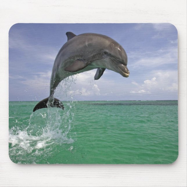 Dolphin in the wild Jumping Mouse Mat (Front)