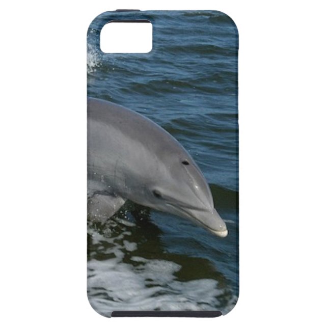 Dolphin iPhone-5 Case-Mate Case-Mate iPhone Case (Back)