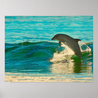 Dolphin is My Spirit Animal Poster