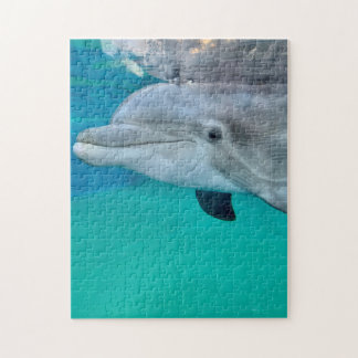 Dolphin Jigsaw Puzzle