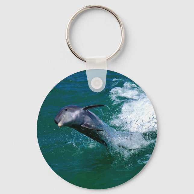Dolphin jumping and dancing key ring (Front)