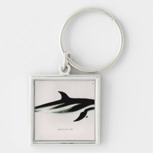 Dolphin Key Ring