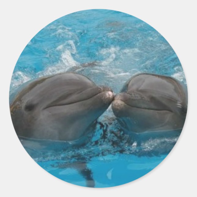 Dolphin Kiss Classic Round Sticker (Front)