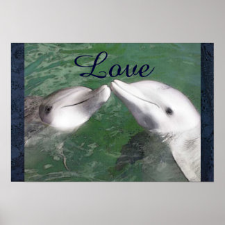 Dolphin Love Fish Water Marine Ocean Animal Cute Poster