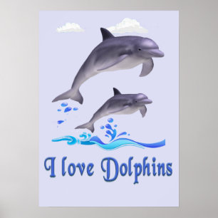Dolphin Love Poster